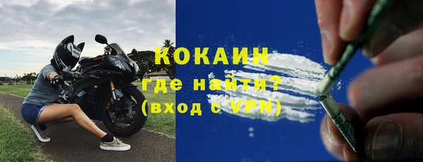 дмт Инта