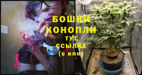 дмт Инта