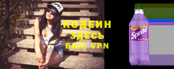 2c-b Каменка