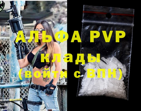 дмт Инта
