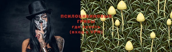 дмт Инта