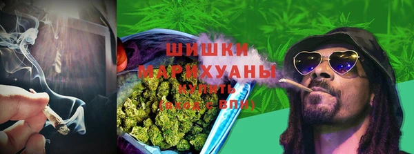 Альфа ПВП Иннополис
