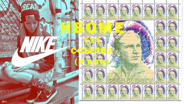 дмт Инта