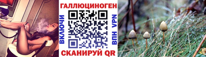 Купить закладки Карачаевск Галлюциногенные грибы мицелий
